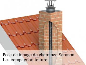 Pose de tubage de cheminée seranon-06750 Les compagnon toiture