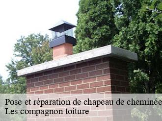 Pose et réparation de chapeau de cheminée mouans-sartoux-06370 Les compagnon toiture