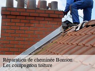 Réparation de cheminée bonson-06830 Les compagnon toiture