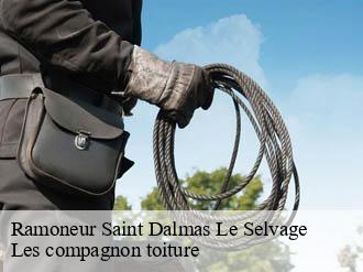 Ramoneur saint-dalmas-le-selvage-06660 Les compagnon toiture