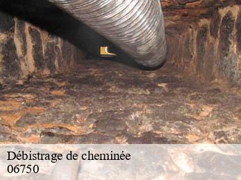 Débistrage de cheminée 06750